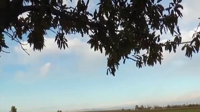 Goranboyda daha 10 kəndin suvarma suyu ile təminati yaxşılaşdırılacaq 27 11 2020 Ral Tv смотреть онлайн