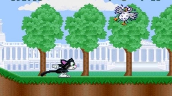 Socks the Cat Rocks the Hill