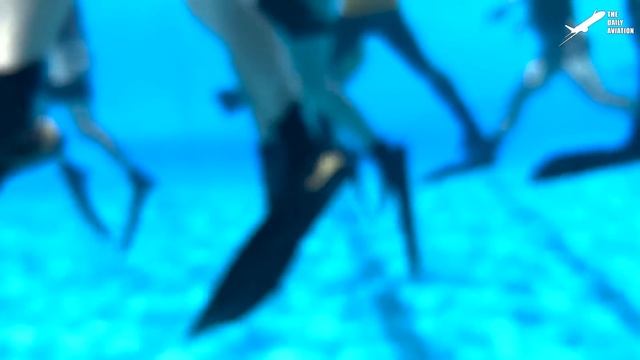 US F-35A Shows Its Insane Maneuverability During Vertical Climb at Full Afterburner смотреть онлайн