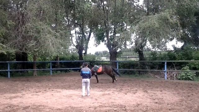 русский рысак снайпер смотреть онлайн