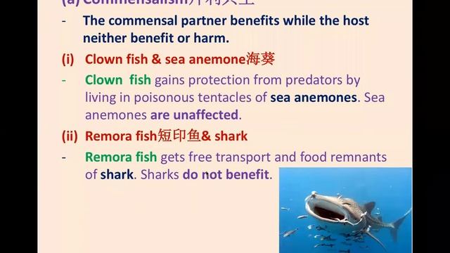 Biology Form 4 Chapter 8 Dynamic Ecosystem part 2 смотреть онлайн
