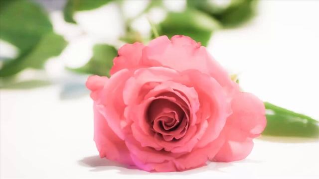 ♫ 3 HOURS Best Relaxing Music Guitar Tango La Cumparsita ♫ Background Relax Sleep Study ♫ смотреть онлайн