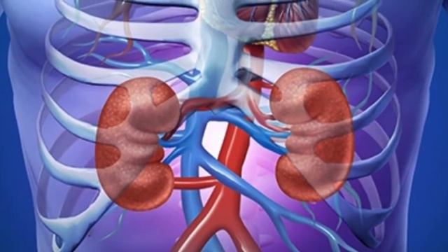 Самый первый признак заболеваний ПОЧЕК. Это вас удивит. Многие даже не знают об этом...