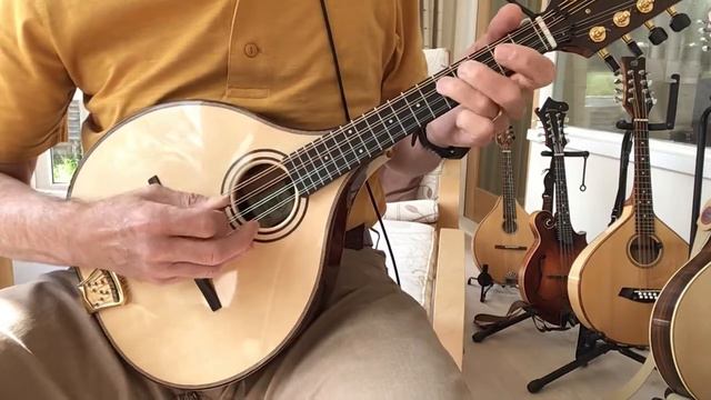 Coilsfield House (Nathaniel Gow) - Mandolin, Guitar смотреть онлайн