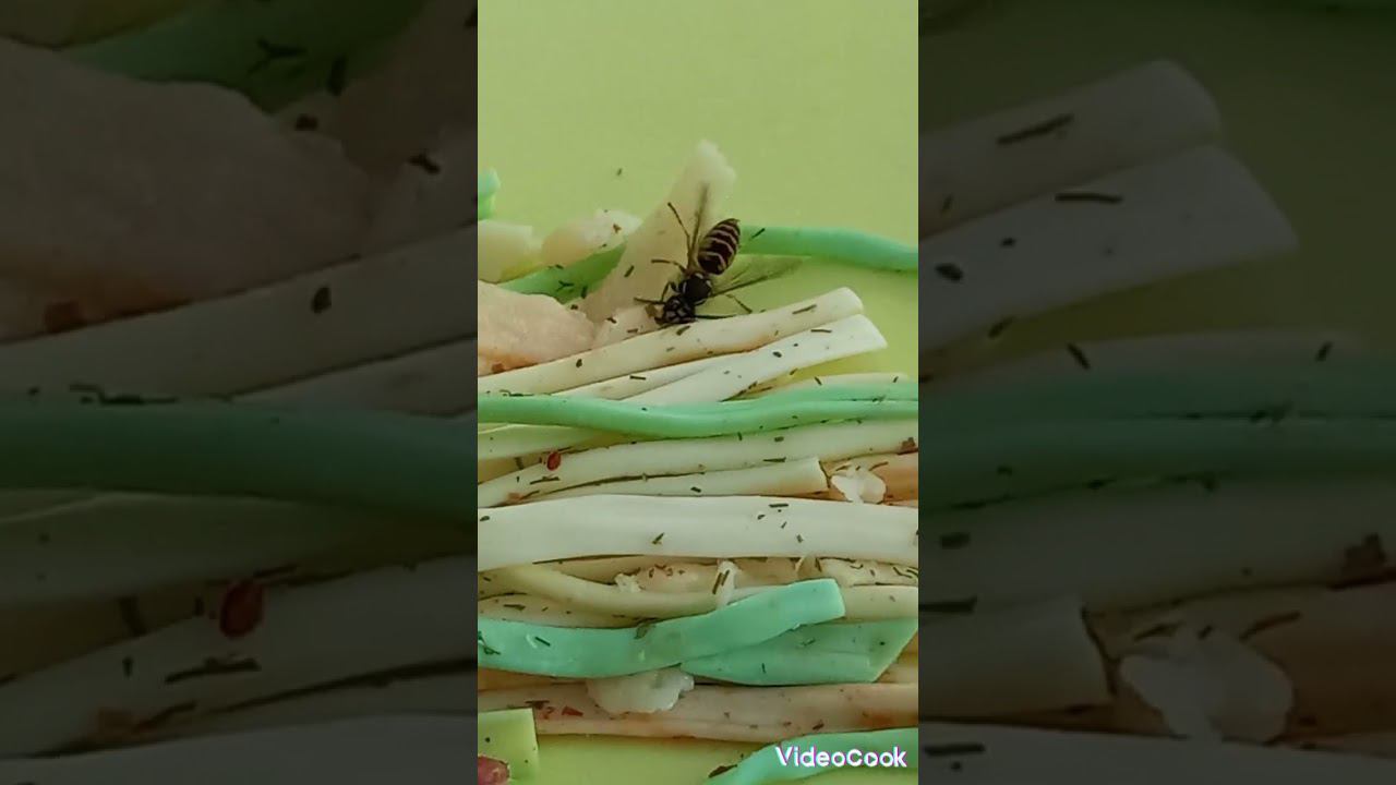 7 сентября 2024 г.