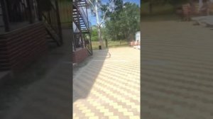 Обзор отель Калипсо-Фламинго, Calipso, Анапа 2021 год июнь