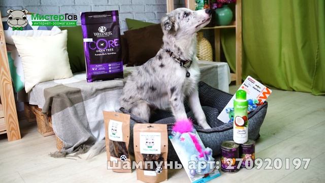 Уход за щенком смотреть онлайн