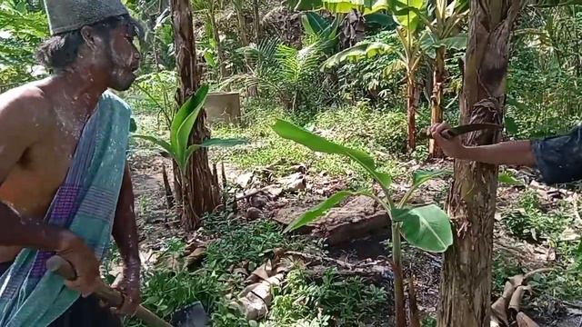 #komedi #ngakakkocak , siebong buat ulah jantung pisang ber buah,, смотреть онлайн