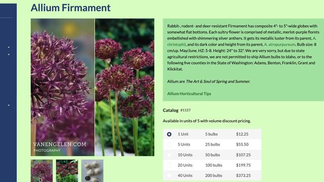 Bold & Beautiful: Planting 3,000 ALLIUMS in the Meadow — Ep. 135 смотреть онлайн