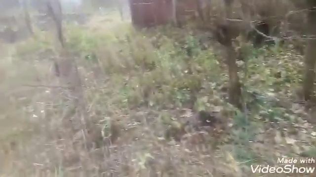 Посадка чеснока.Небольшой обзор моего участка. смотреть онлайн
