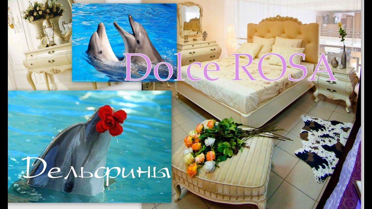ВЛОГ/ В плену ИНТЕРЬЕРА DOLCE ROSA и ДЕЛЬФИНЫ смотреть онлайн