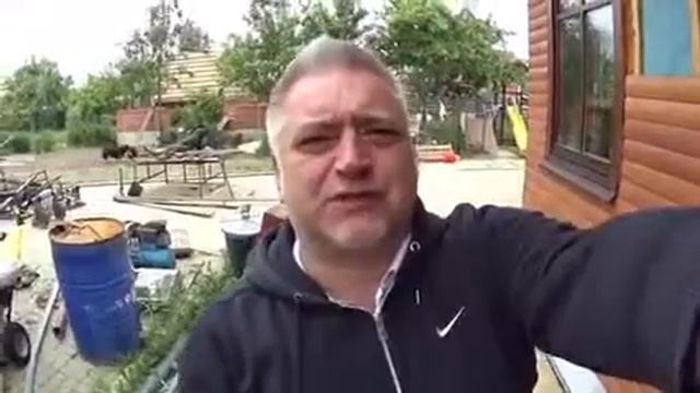 Полинор и дерево