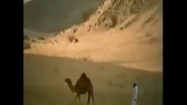 Eyal Golan - Elohai אייל גולן אלוהיי смотреть онлайн