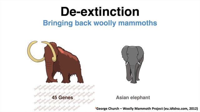 Jurassic Park in REAL LIFE? Could we "revive" Dinosaurs? смотреть онлайн