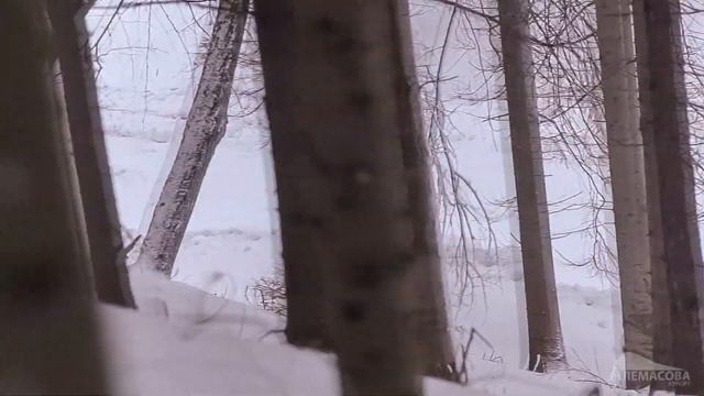 Курорт Алемасова. Клип смотреть онлайн