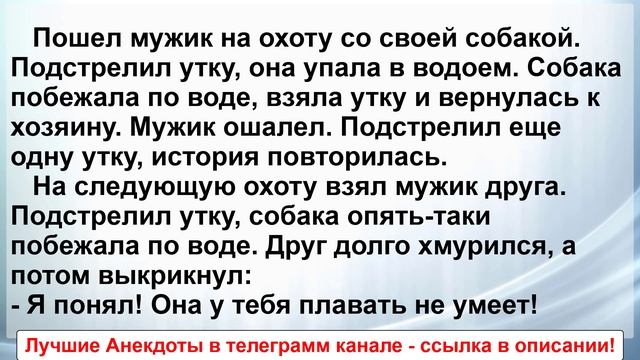 Мужик пошел на охоту с Собакой ...! Сборник Самых Смешных и Свежих Анекдотов! Юмор! Смех! смотреть онлайн