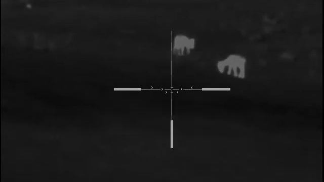 Fellow deer in thermal scope смотреть онлайн