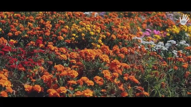 High Five Кыргызстан (г. Ош) смотреть онлайн