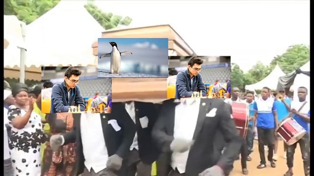 Vahap Şanal vs Andrew Tang смотреть онлайн