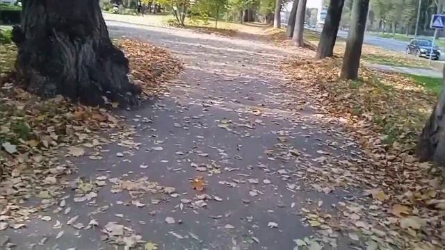Деревенский дневник очень многодетной мамы. Для Быковой счастье, это деньги. смотреть онлайн