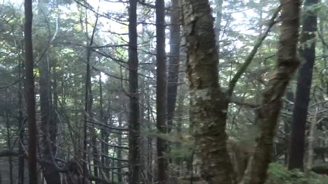 AT Maintenance 9/6/12 (Roan Mountain)
