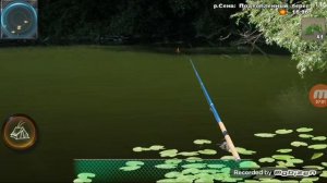 Ворлд оф фиш ловим рыбу симулятор