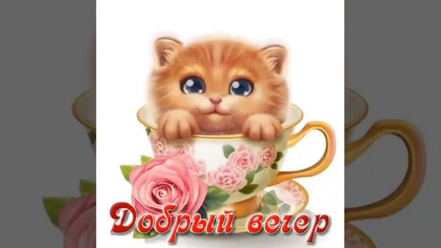 Котя говорит тебе: Добрый вечер!