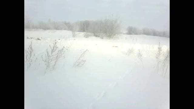 заяц русак видео охота смотреть онлайн