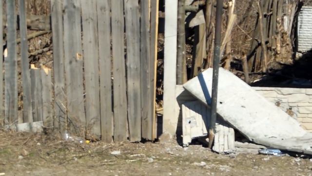 Лисичанск 25.03.2022 пришли жаркие дни, солнце, пахнет летом! смотреть онлайн