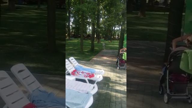 ЗАКАРПАТЬЕ НА ГРАНИЦЕ С ВЕНГРИЕЙ смотреть онлайн