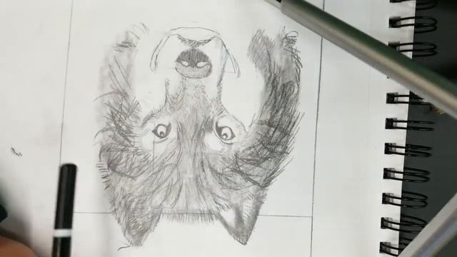 Finishing touches on wolf sketch Time Lapse смотреть онлайн