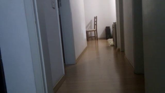 Bandit - Go Fetch 2 смотреть онлайн