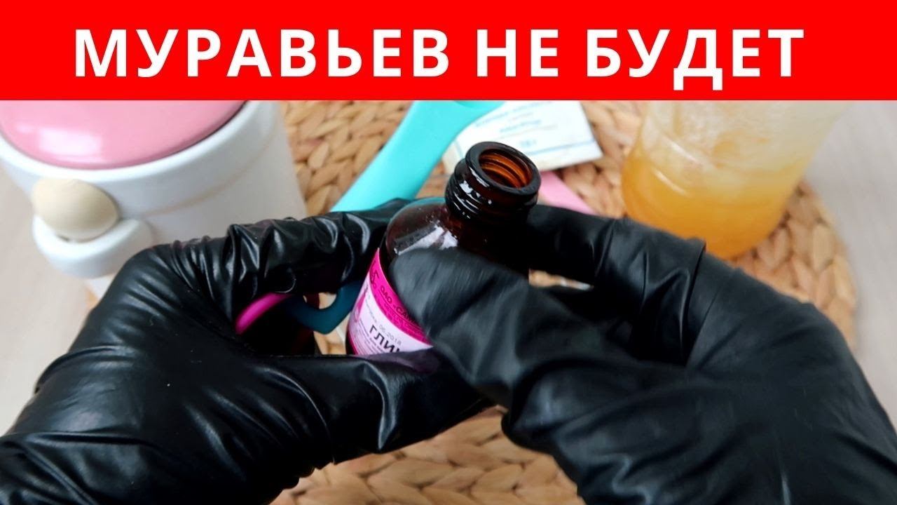 МУРАВЬЕВ в доме БОЛЬШЕ не будет. Как я ИЗБАВИЛАСЬ от них НАВСЕГДА смотреть онлайн