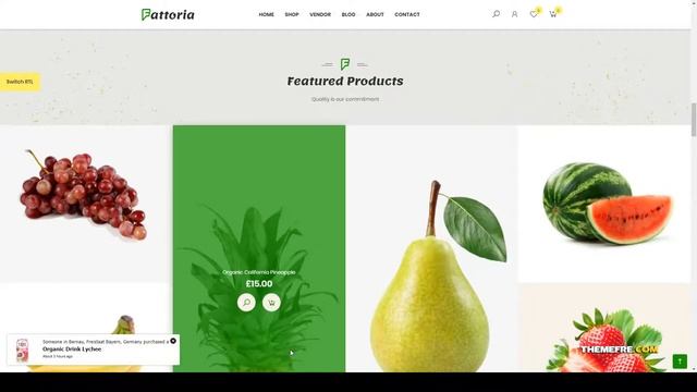 Fattoria - Organic Farm Natural Store WooCommerce Theme agriculture environment Mika смотреть онлайн