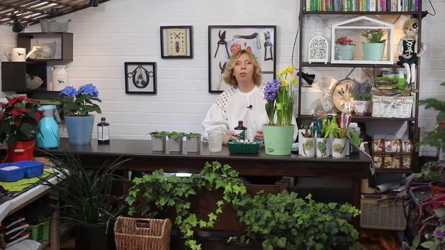 ЭКОГУМУС. Советы Марины Рыкалиной смотреть онлайн