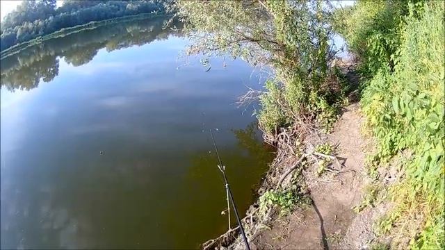 Рыбалка 23 июня 2019 года За понтонным мостом в сторону Гремячьего, река Дон смотреть онлайн