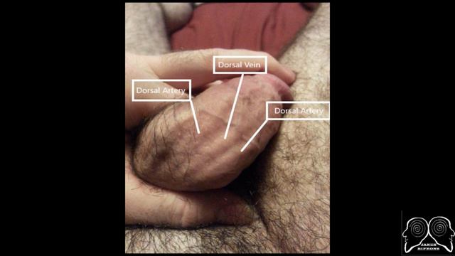 Long Term Benefits Of Angion Method Use (PICTURE PROOF)