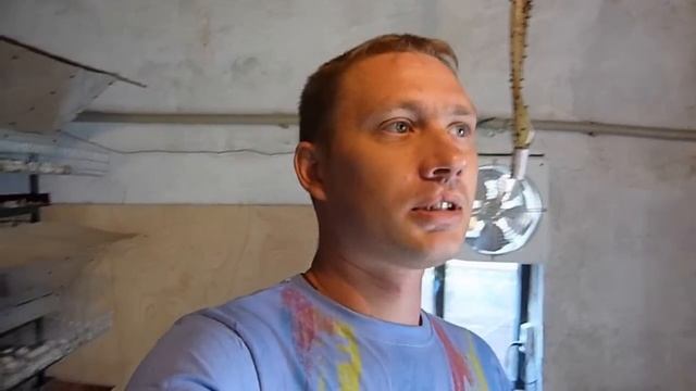Отбор проб помета кур и перепелов // Реальная стоимость смотреть онлайн