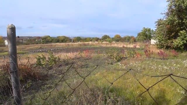 МАЛИНА готовим к зиме ОСЕНЬЮ смотреть онлайн