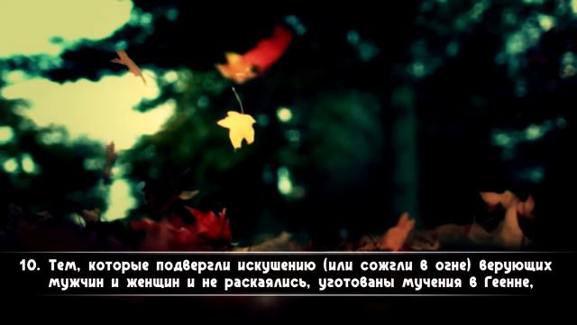 Maulana Imtiyaz Sidat. Сура 