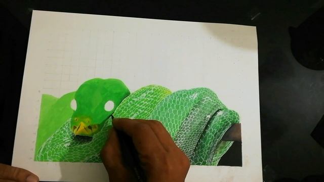 Green tree python drawing, how to draw a snake смотреть онлайн