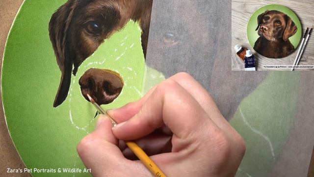 How to paint a dog nose in acrylics | Step by step tutorial смотреть онлайн