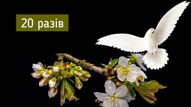 Молитва Царю Небесний (40 разів) / Молитва до Святого Духа / Дух Святий зійди на нас / Субтитри смотреть онлайн