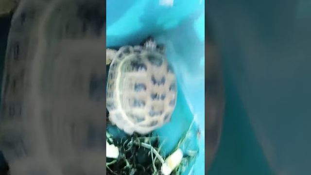 8 сентября 2022 г.