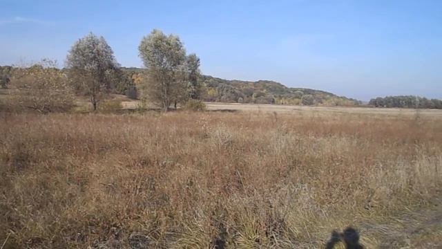 Сумщина Унікальна)