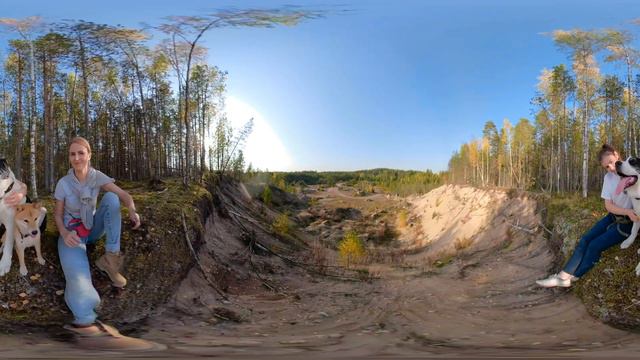 Сиба и алабай - лучшие компаньоны, чтобы полюбоваться закатом! Видео 360 смотреть онлайн