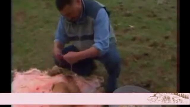 Рецепт: "баран в земле" смотреть онлайн