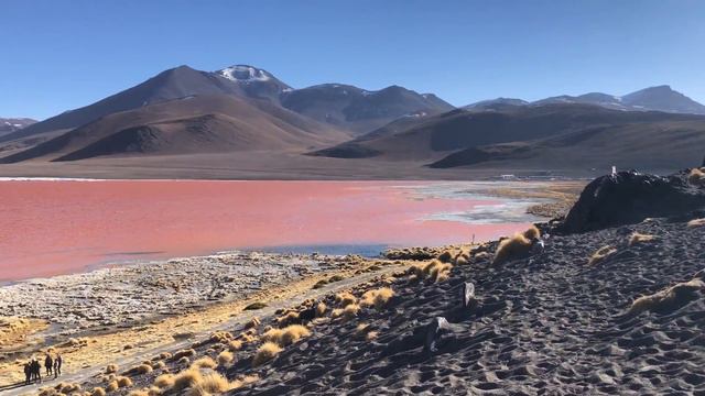 Laguna Colorada, Uyuni - Bolivia смотреть онлайн