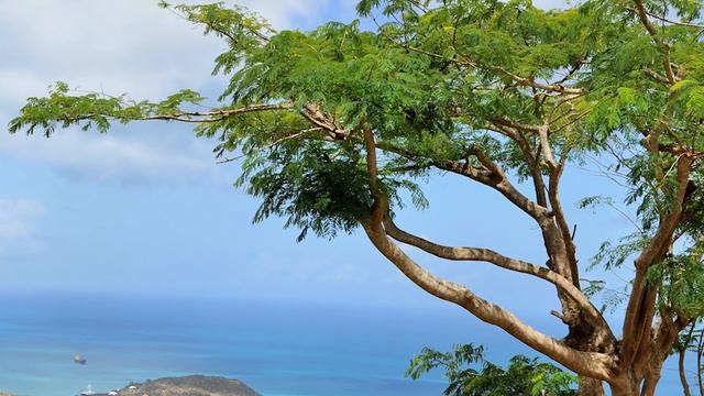 Евангелие дня. Библейские чтения. Чтимые святые дня. Прощеное воскресенье. (01 марта 2020 г.) смотреть онлайн