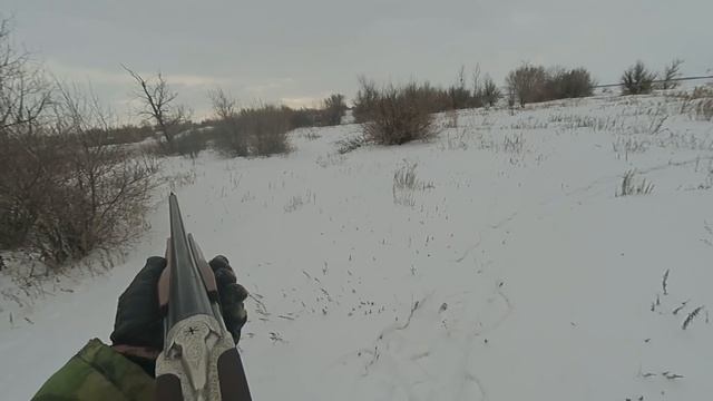 Охота на зайца Любимое место зайца терновник смотреть онлайн